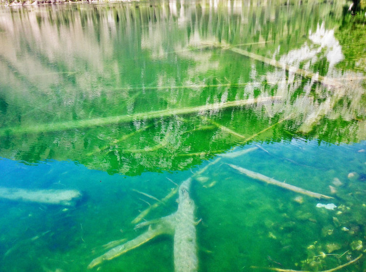 含砷废水 含砷废水